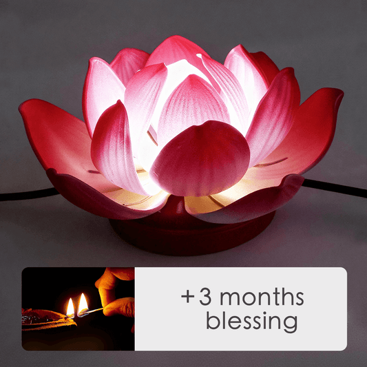 Lotus Lamp & Offering